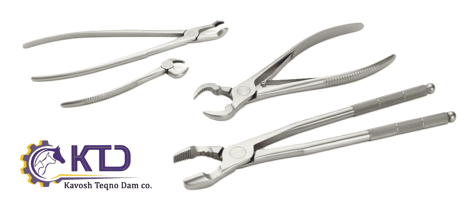 انواع فورسپس‌های دندانپزشکی اسب