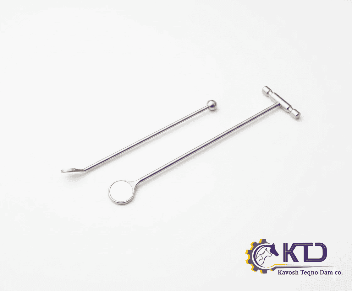 آیینه دندان پزشکی اسب