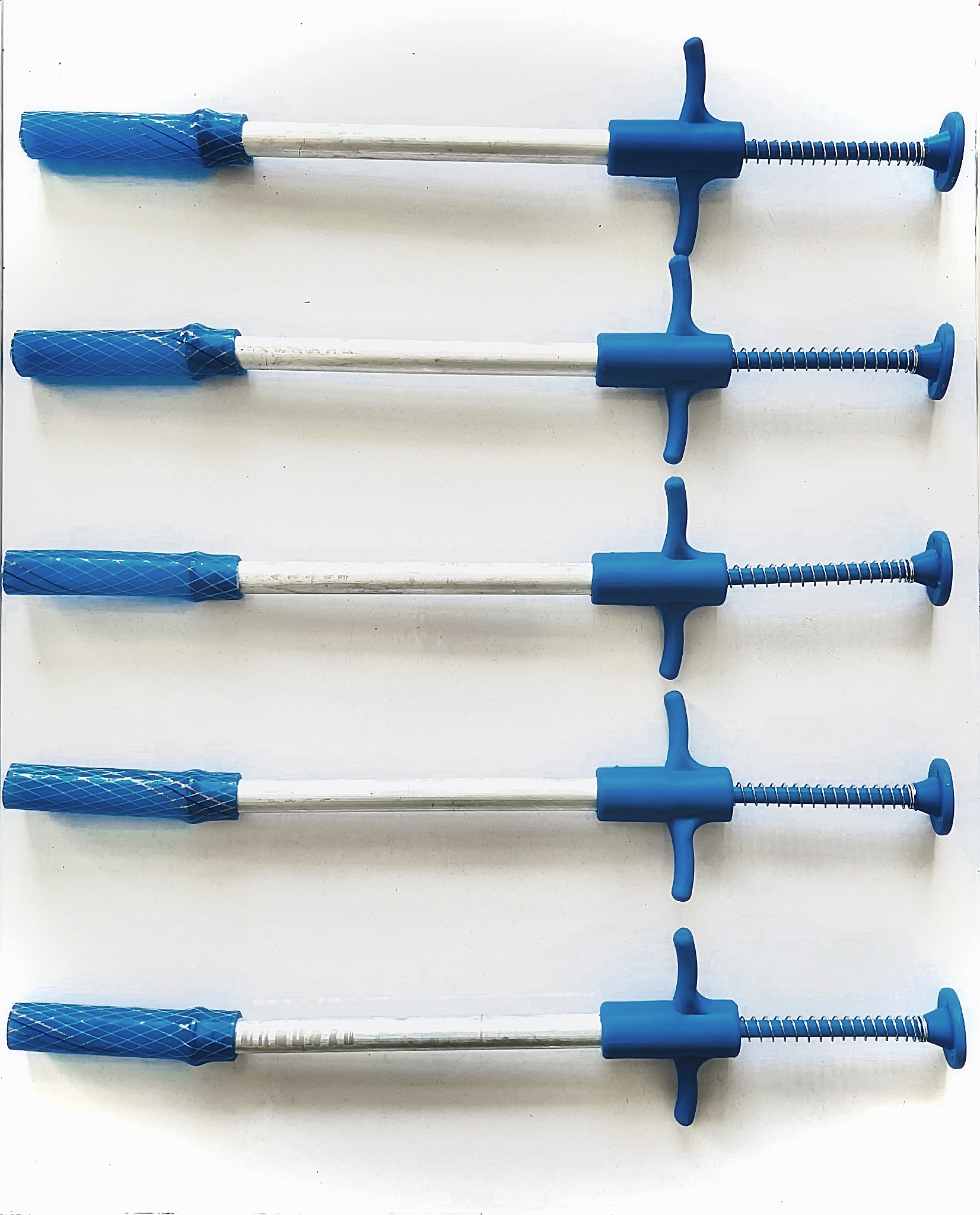 قرص خوران گوسفندی